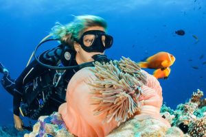 Sharm El Sheikh